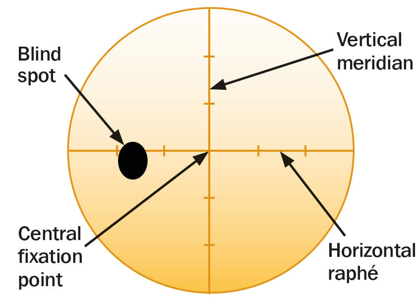 Is the retinal blind spot a problem?